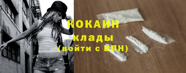 кокс Белокуриха